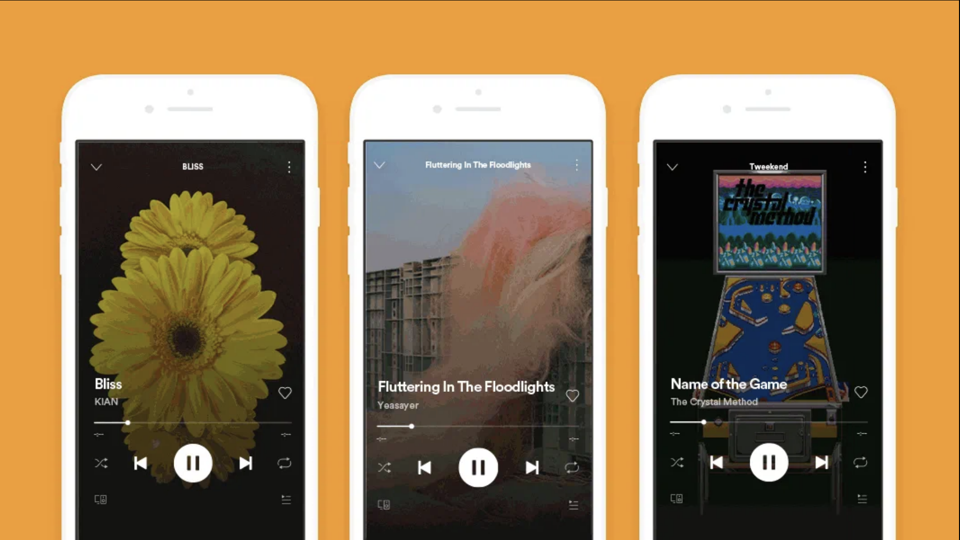 Spotify canvas