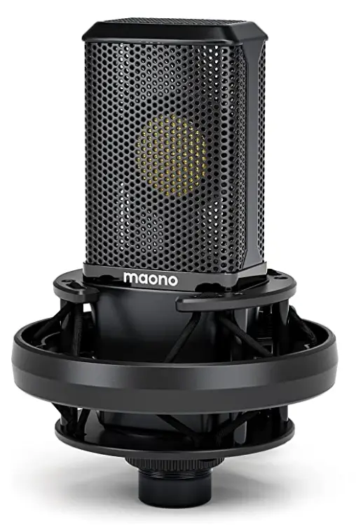 Best beginner microphone for vocals